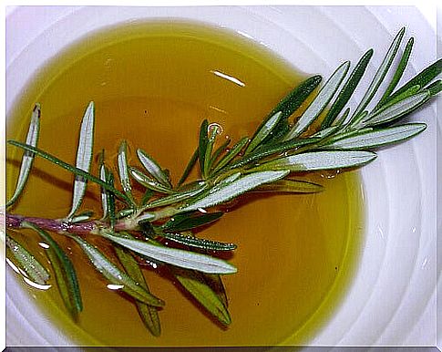 Rosemary against varicose veins