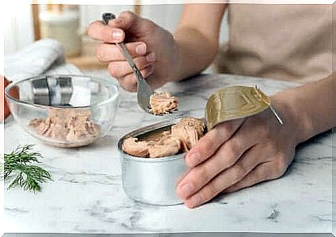 3 recipes you can prepare with canned tuna