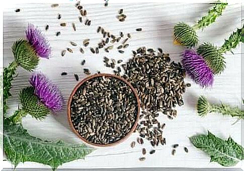 Milk Thistle For Gallbladder Inflammation