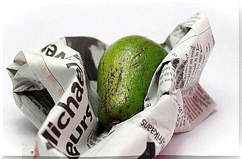 Avocado in a newspaper