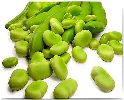 broad beans