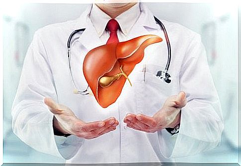 Liver and Gallbladder