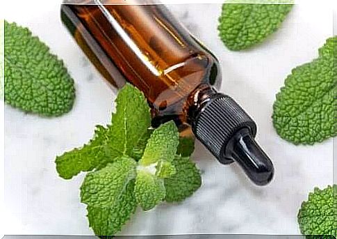 A bottle of mint oil