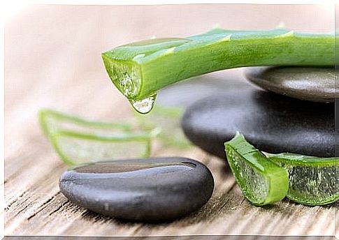 Aloe vera against bleeding hemorrhoids