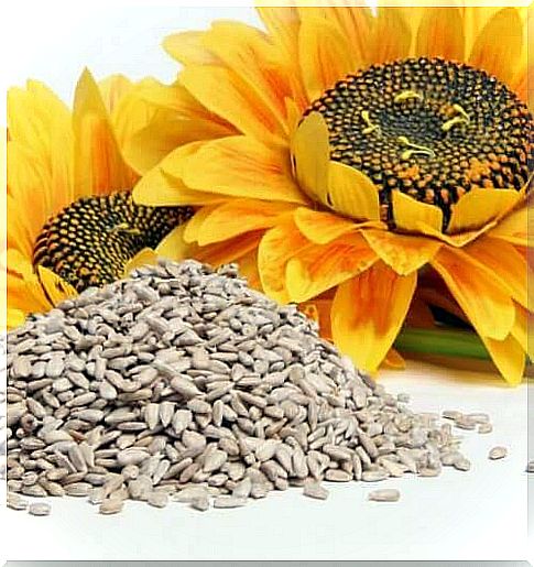 Sunflower seeds help with weight loss