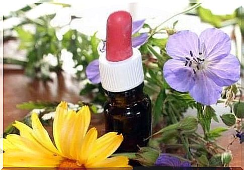 Essential Fragrant Oils and the Nervous System