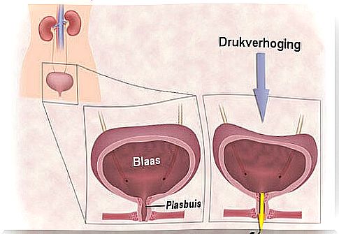 Fighting urine loss with exercises