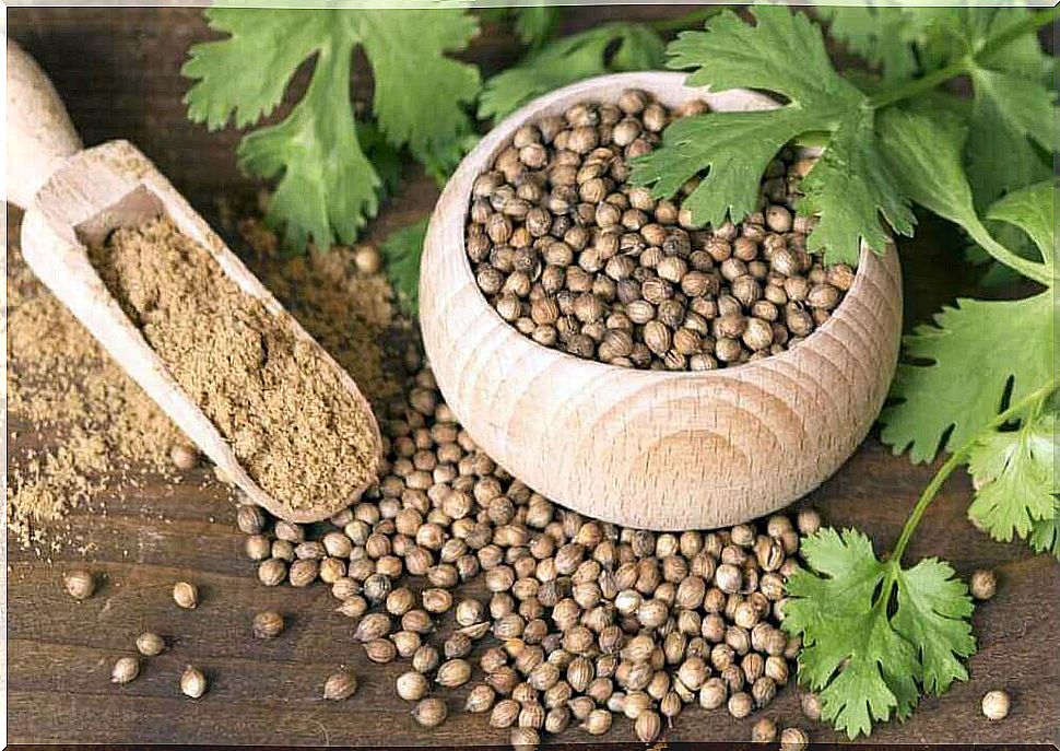 Fight heavy periods with coriander seeds