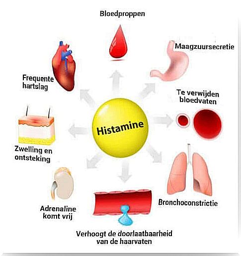 Histamine: Synthesis, Release and Functions