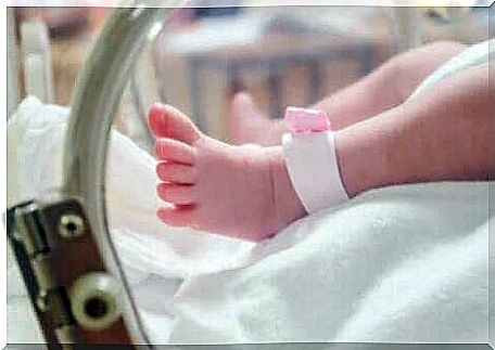 A baby's feet in the incubator