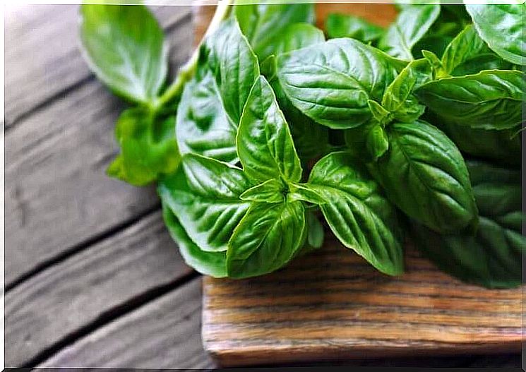 Benefits of Essential Oils: Basil