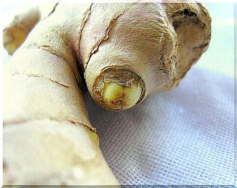 Can Ginger Help You Quit Smoking