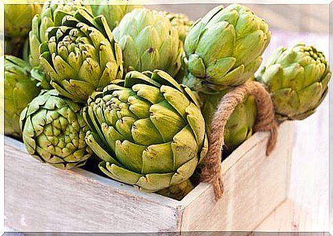 Prevent osteoarthritis with artichokes