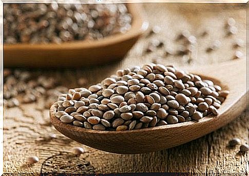 Prevent osteoarthritis with beans