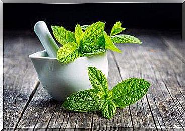 mint as a remedy