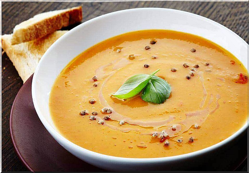 The best vegetable cream soup recipes