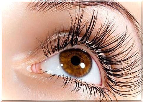 Tips for perfect eyelashes