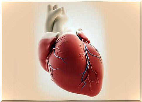 Truncus arteriosus, a rare heart defect