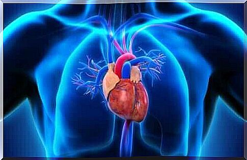 Causes of a Truncus arteriosus