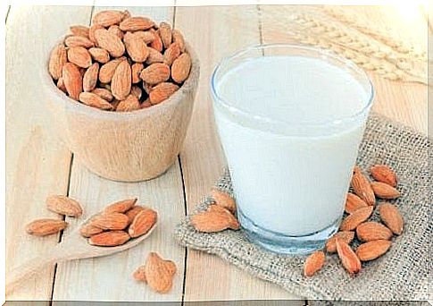 Vegetable Milk Snack Recipes