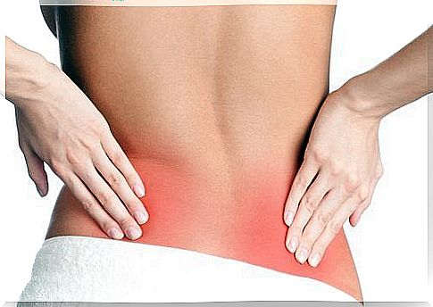 Why you suffer from back pain