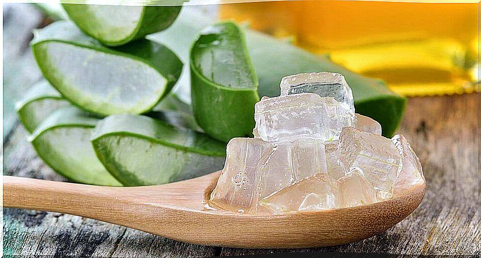 You can fight fungus with aloe vera